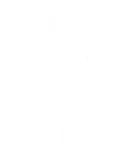Acqua delle Stelle