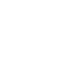 Fury Bags